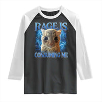 Rage Is Consuming Me Cat Meme Raglan Shirt Funny Weird Humor Cat Face Bootleg - Wonder Print Shop