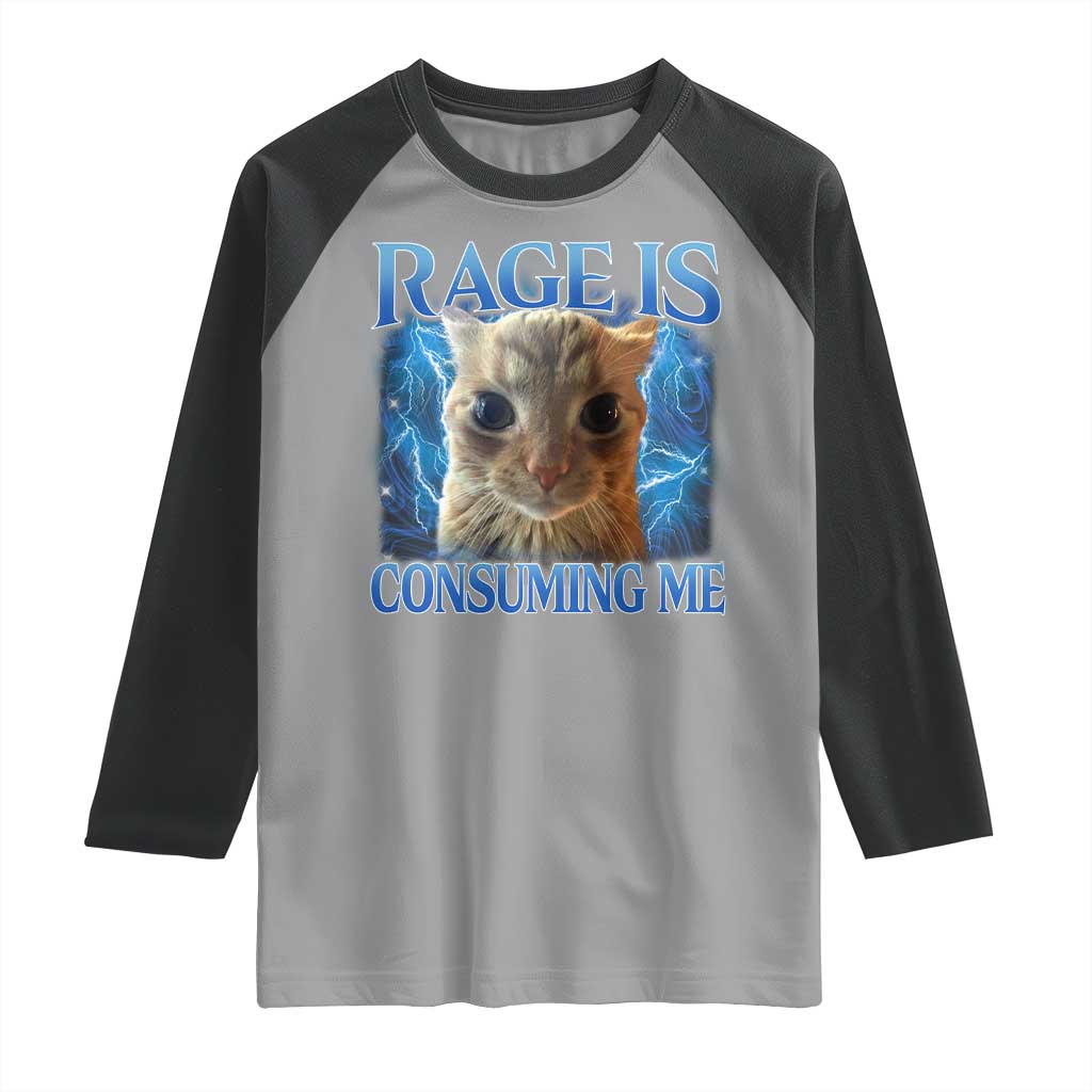 Rage Is Consuming Me Cat Meme Raglan Shirt Funny Weird Humor Cat Face Bootleg - Wonder Print Shop