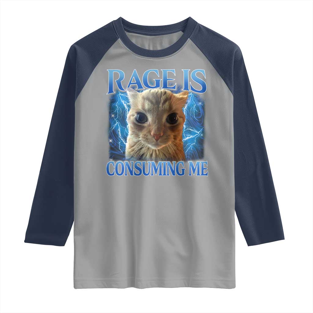 Rage Is Consuming Me Cat Meme Raglan Shirt Funny Weird Humor Cat Face Bootleg - Wonder Print Shop