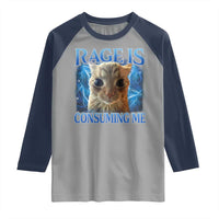 Rage Is Consuming Me Cat Meme Raglan Shirt Funny Weird Humor Cat Face Bootleg - Wonder Print Shop