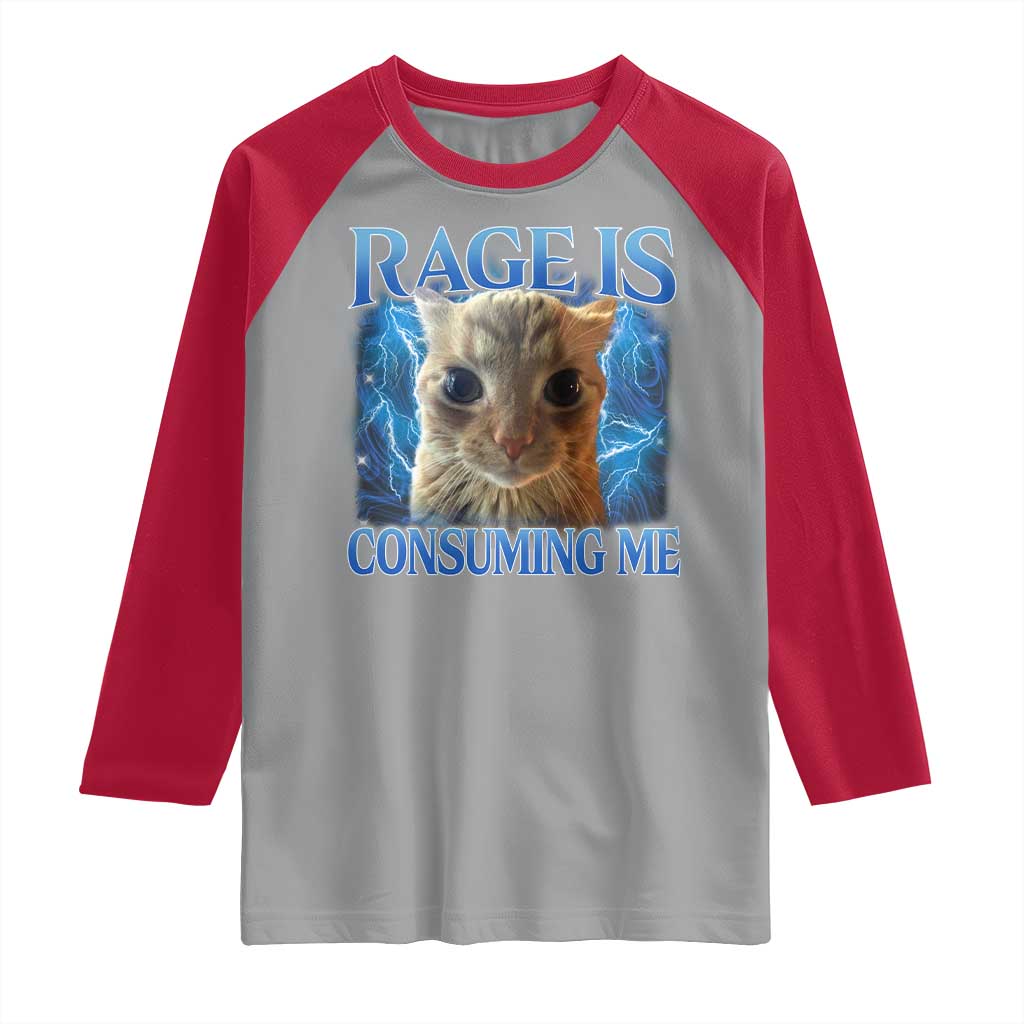 Rage Is Consuming Me Cat Meme Raglan Shirt Funny Weird Humor Cat Face Bootleg - Wonder Print Shop