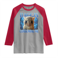 Rage Is Consuming Me Cat Meme Raglan Shirt Funny Weird Humor Cat Face Bootleg - Wonder Print Shop