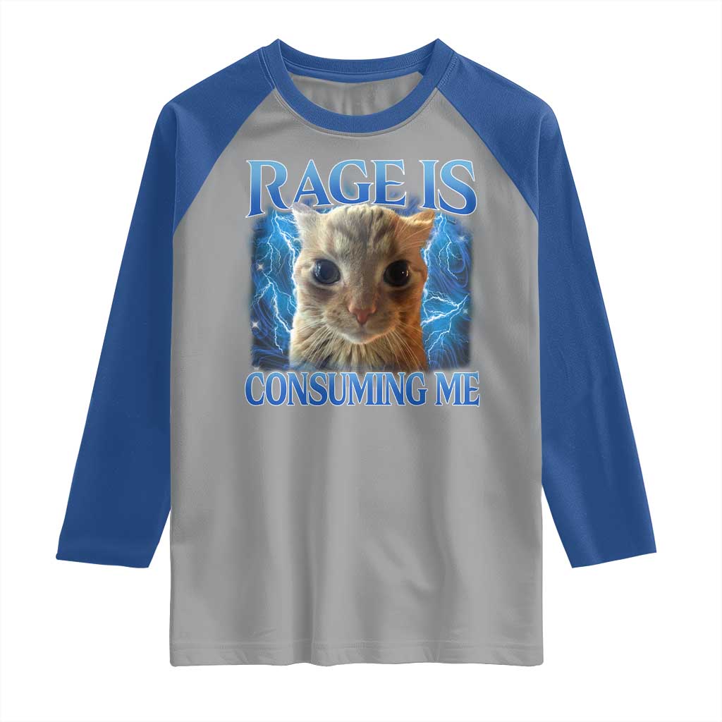 Rage Is Consuming Me Cat Meme Raglan Shirt Funny Weird Humor Cat Face Bootleg - Wonder Print Shop