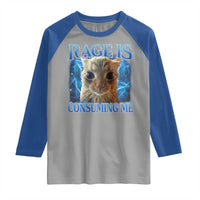 Rage Is Consuming Me Cat Meme Raglan Shirt Funny Weird Humor Cat Face Bootleg - Wonder Print Shop