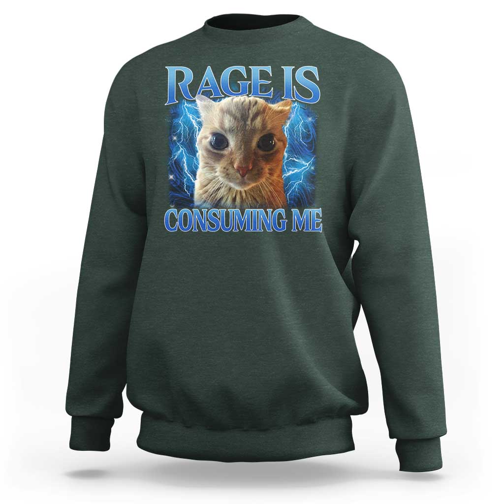 Rage Is Consuming Me Cat Meme Sweatshirt Funny Weird Humor Cat Face Bootleg - Wonder Print Shop