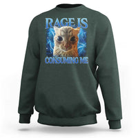 Rage Is Consuming Me Cat Meme Sweatshirt Funny Weird Humor Cat Face Bootleg - Wonder Print Shop