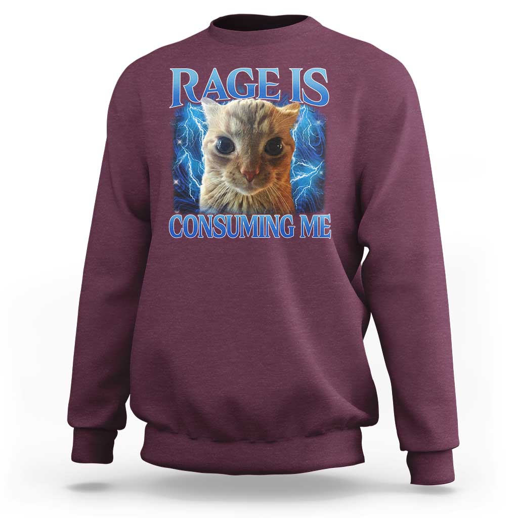 Rage Is Consuming Me Cat Meme Sweatshirt Funny Weird Humor Cat Face Bootleg - Wonder Print Shop