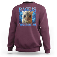 Rage Is Consuming Me Cat Meme Sweatshirt Funny Weird Humor Cat Face Bootleg - Wonder Print Shop