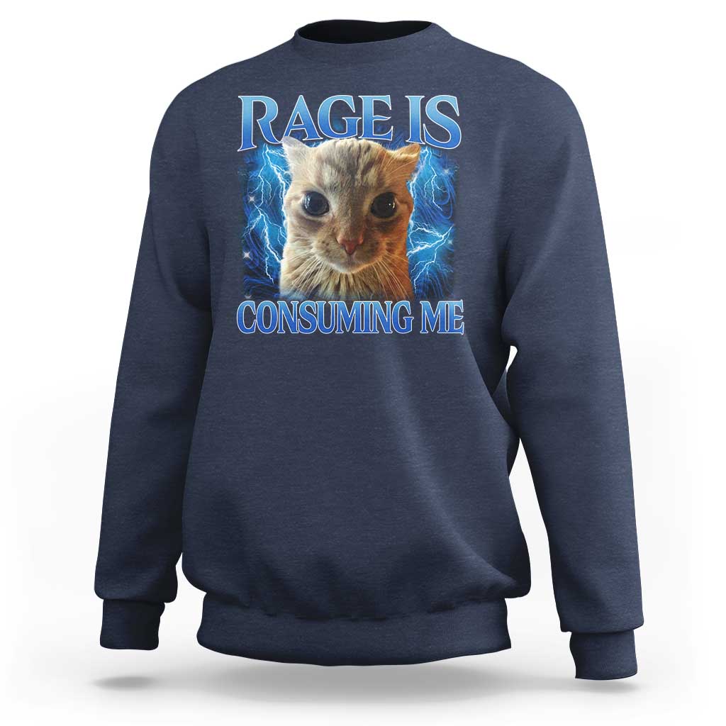 Rage Is Consuming Me Cat Meme Sweatshirt Funny Weird Humor Cat Face Bootleg - Wonder Print Shop