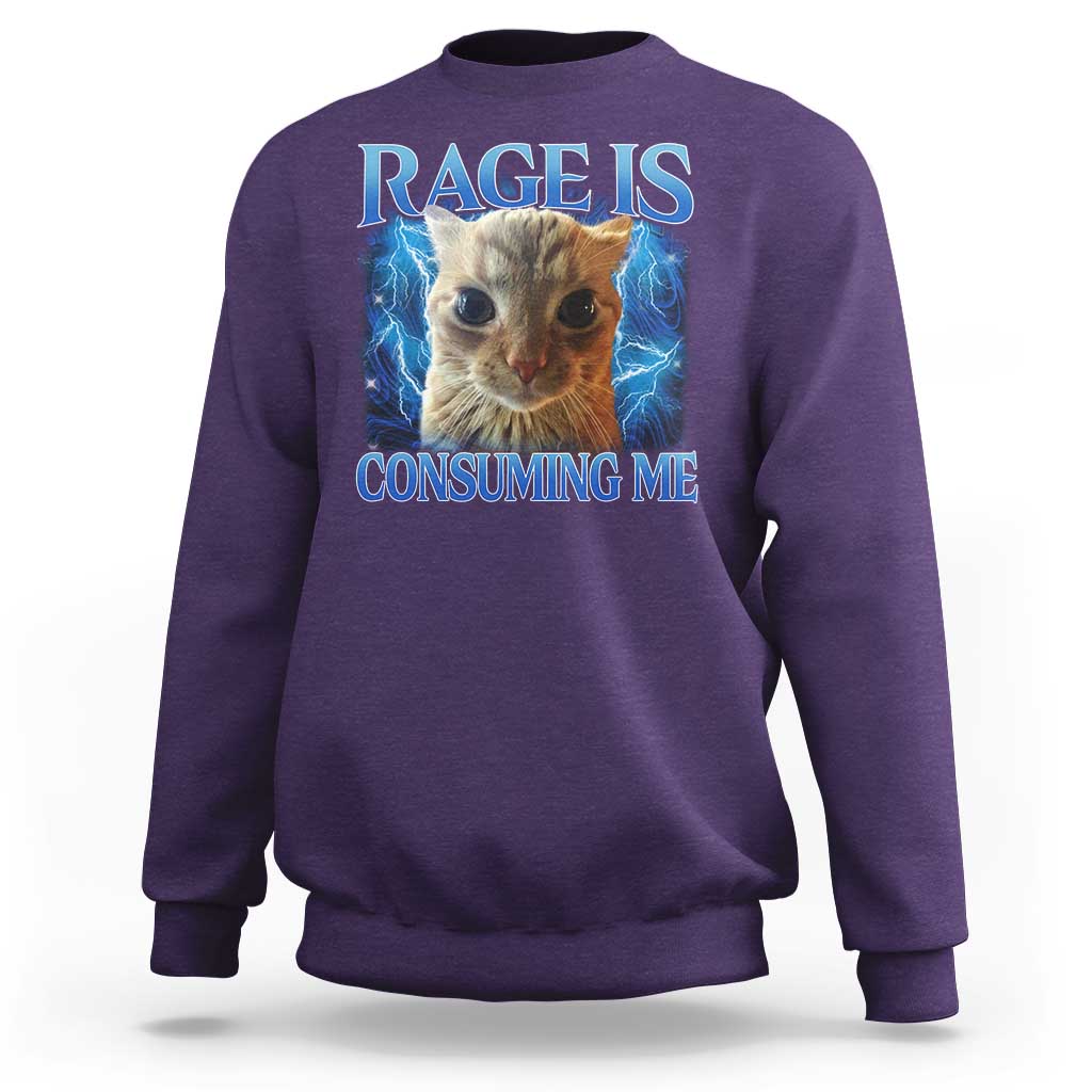 Rage Is Consuming Me Cat Meme Sweatshirt Funny Weird Humor Cat Face Bootleg - Wonder Print Shop