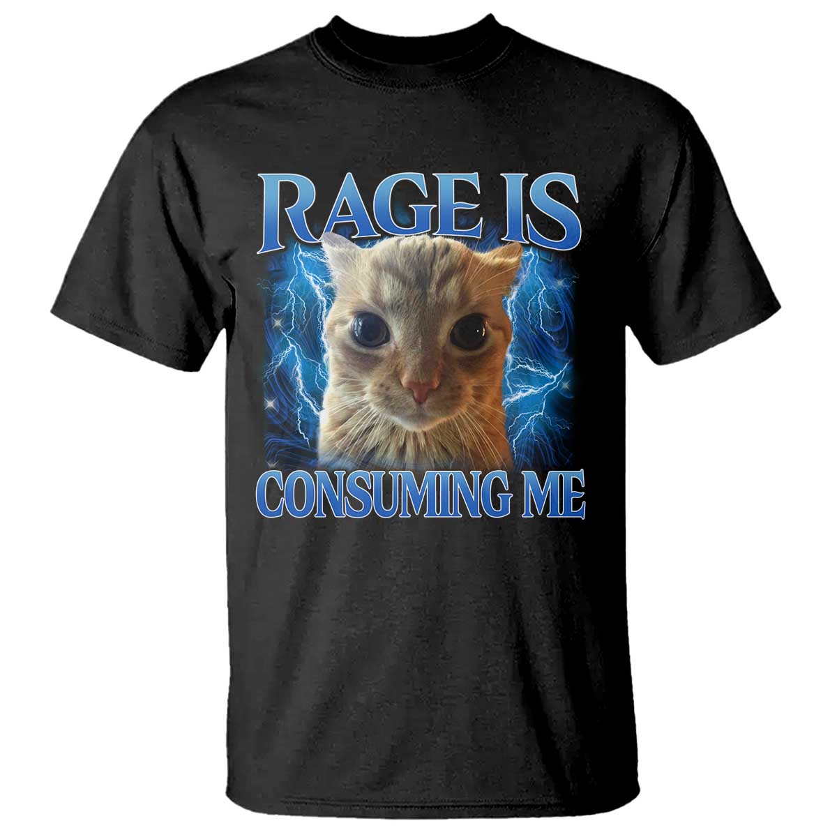 Rage Is Consuming Me Cat Meme T Shirt Funny Weird Humor Cat Face Bootleg - Wonder Print Shop