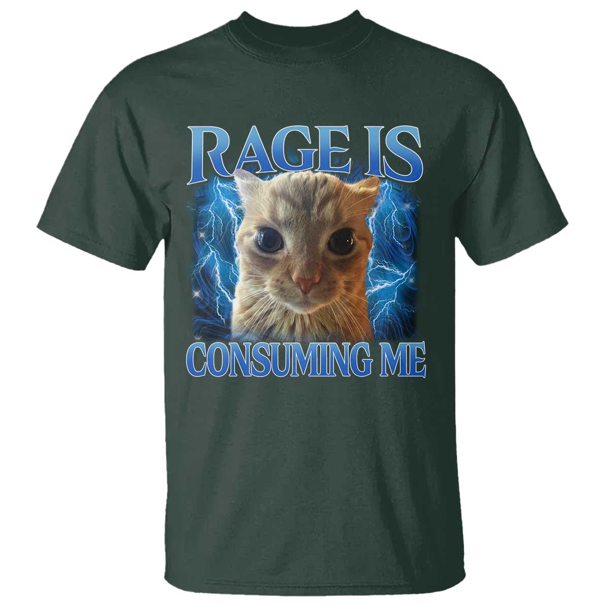 Rage Is Consuming Me Cat Meme T Shirt Funny Weird Humor Cat Face Bootleg - Wonder Print Shop