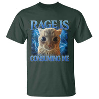 Rage Is Consuming Me Cat Meme T Shirt Funny Weird Humor Cat Face Bootleg - Wonder Print Shop