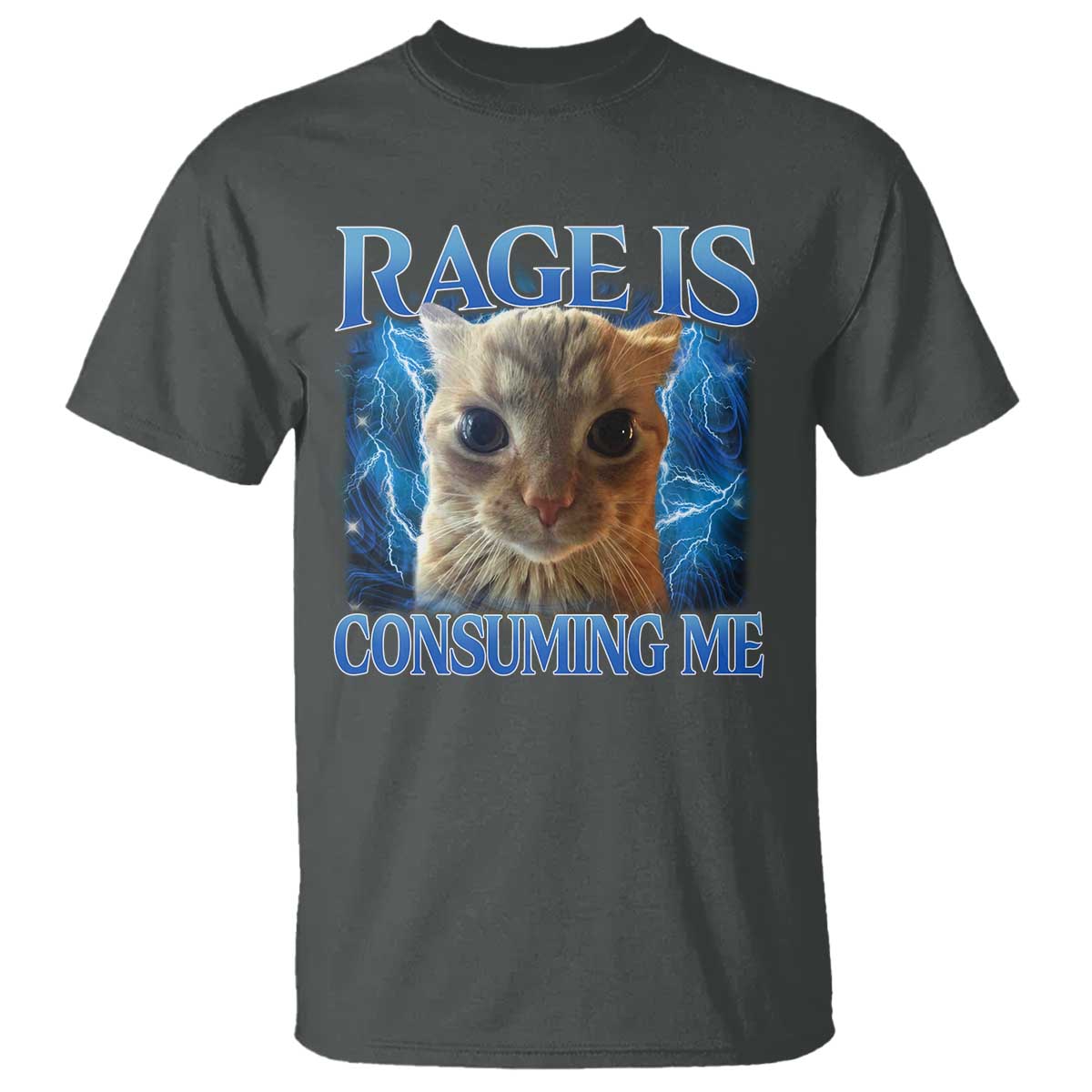 Rage Is Consuming Me Cat Meme T Shirt Funny Weird Humor Cat Face Bootleg - Wonder Print Shop