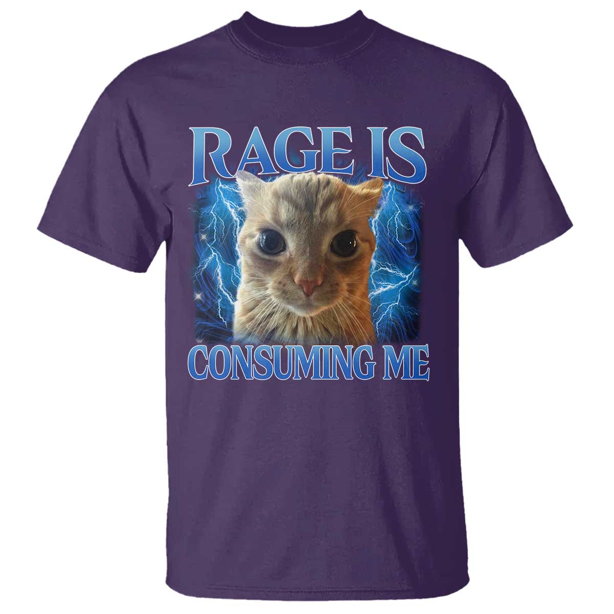 Rage Is Consuming Me Cat Meme T Shirt Funny Weird Humor Cat Face Bootleg - Wonder Print Shop