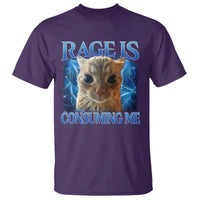 Rage Is Consuming Me Cat Meme T Shirt Funny Weird Humor Cat Face Bootleg - Wonder Print Shop