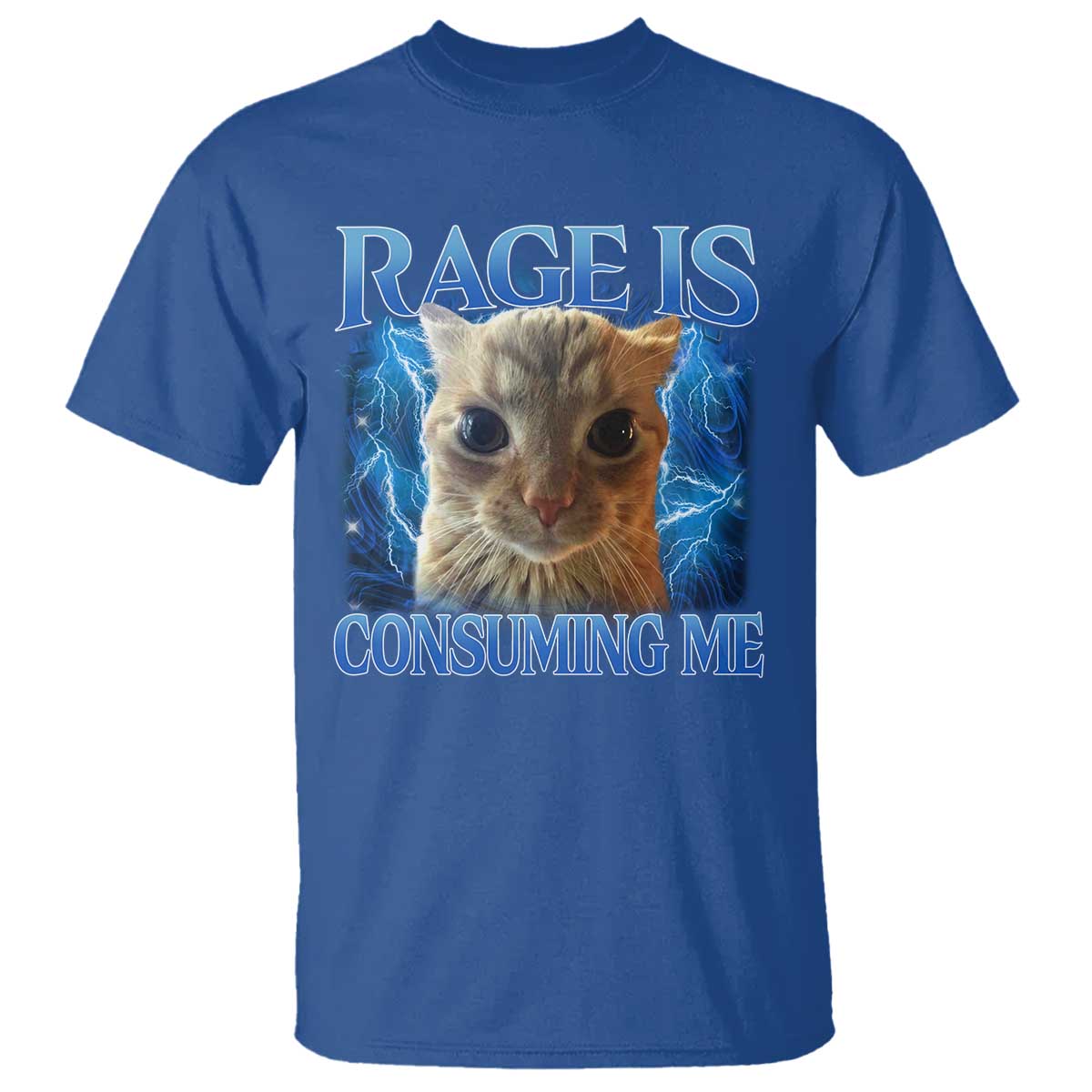 Rage Is Consuming Me Cat Meme T Shirt Funny Weird Humor Cat Face Bootleg - Wonder Print Shop