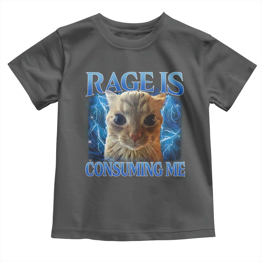 Rage Is Consuming Me Cat Meme Toddler T Shirt Funny Weird Humor Cat Face Bootleg - Wonder Print Shop