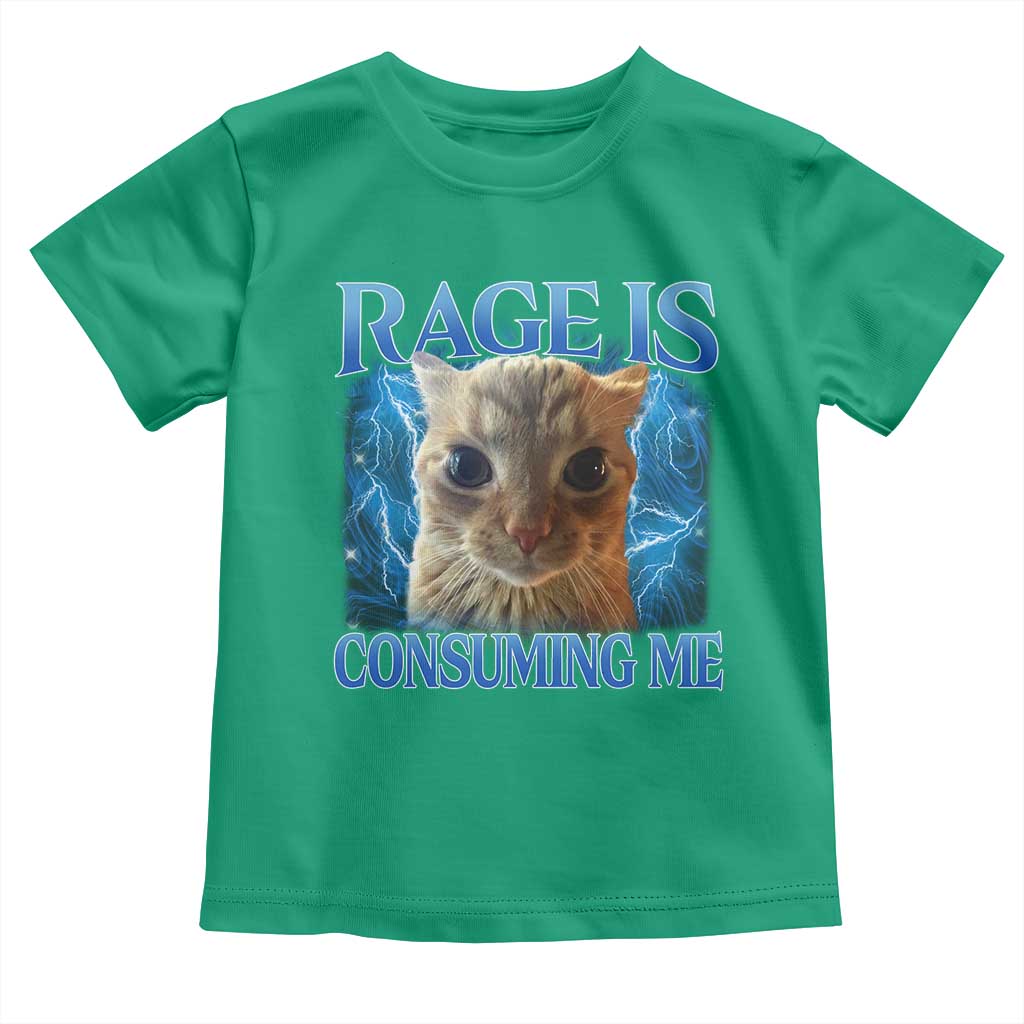 Rage Is Consuming Me Cat Meme Toddler T Shirt Funny Weird Humor Cat Face Bootleg - Wonder Print Shop