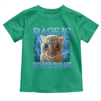 Rage Is Consuming Me Cat Meme Toddler T Shirt Funny Weird Humor Cat Face Bootleg - Wonder Print Shop