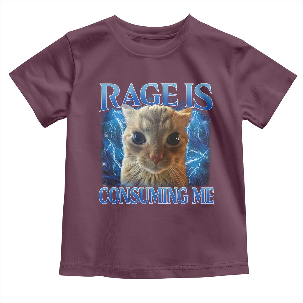 Rage Is Consuming Me Cat Meme Toddler T Shirt Funny Weird Humor Cat Face Bootleg - Wonder Print Shop