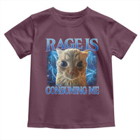 Rage Is Consuming Me Cat Meme Toddler T Shirt Funny Weird Humor Cat Face Bootleg - Wonder Print Shop