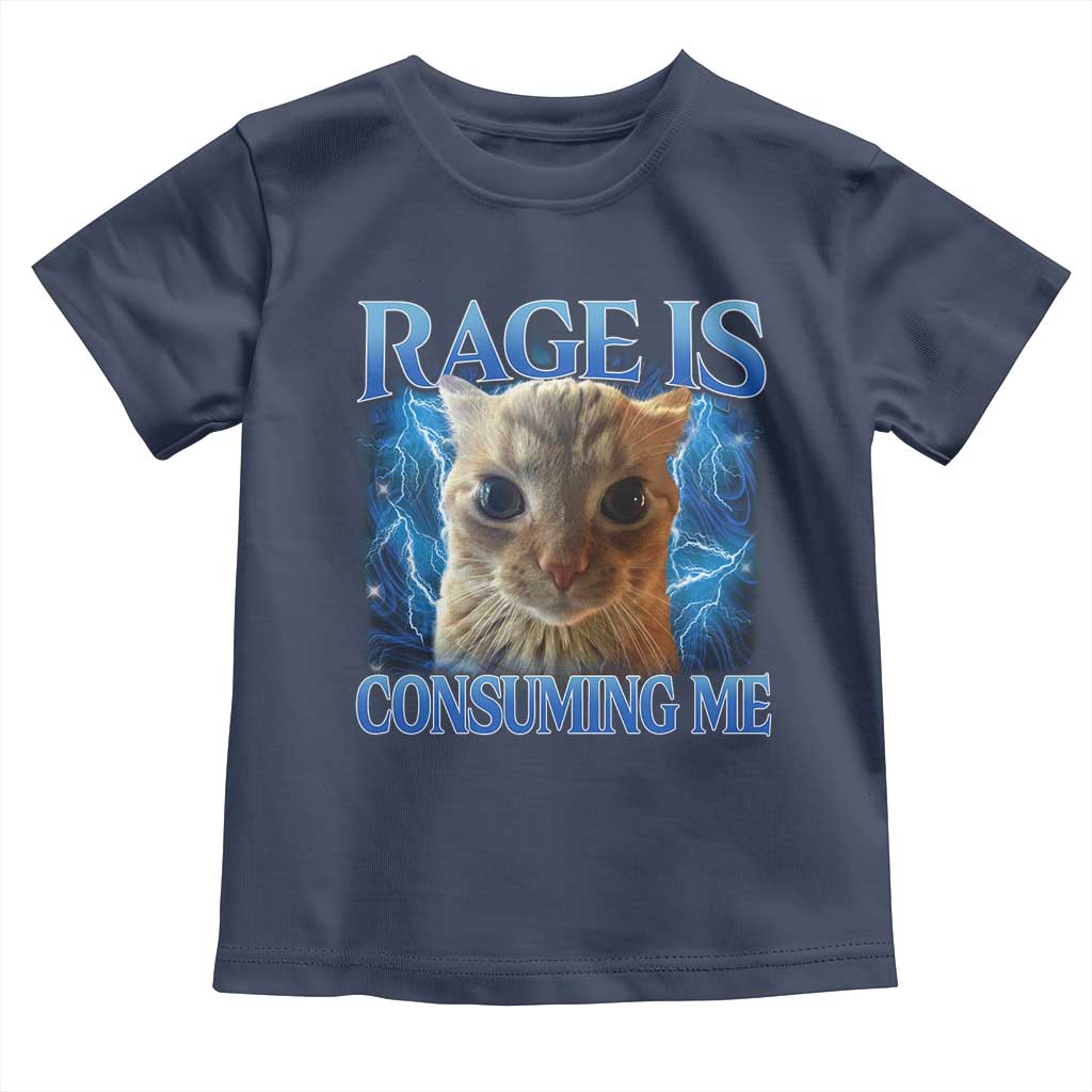 Rage Is Consuming Me Cat Meme Toddler T Shirt Funny Weird Humor Cat Face Bootleg - Wonder Print Shop