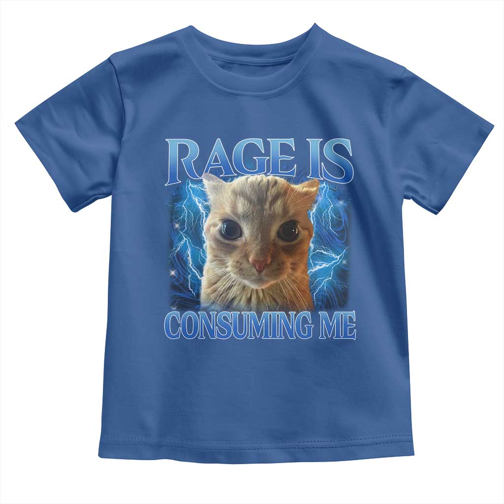 Rage Is Consuming Me Cat Meme Toddler T Shirt Funny Weird Humor Cat Face Bootleg - Wonder Print Shop
