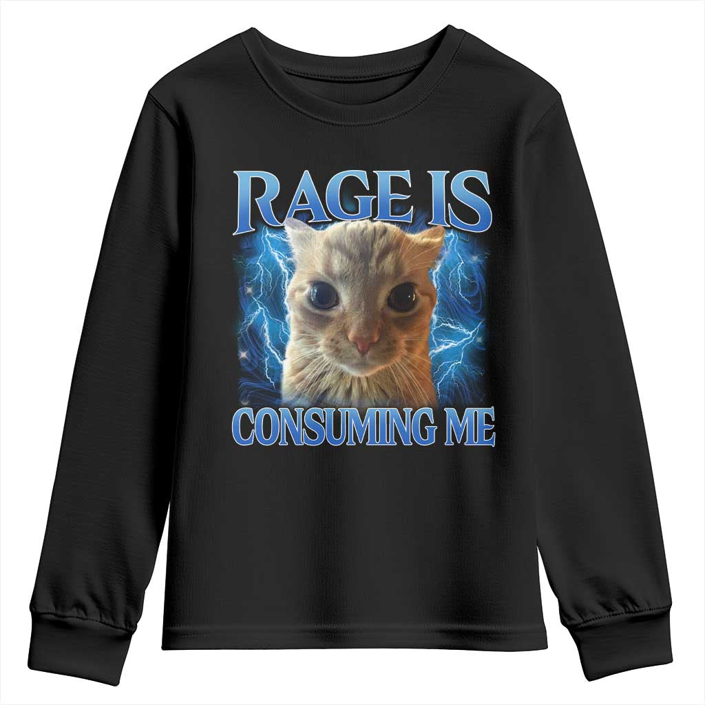 Rage Is Consuming Me Cat Meme Youth Sweatshirt Funny Weird Humor Cat Face Bootleg - Wonder Print Shop