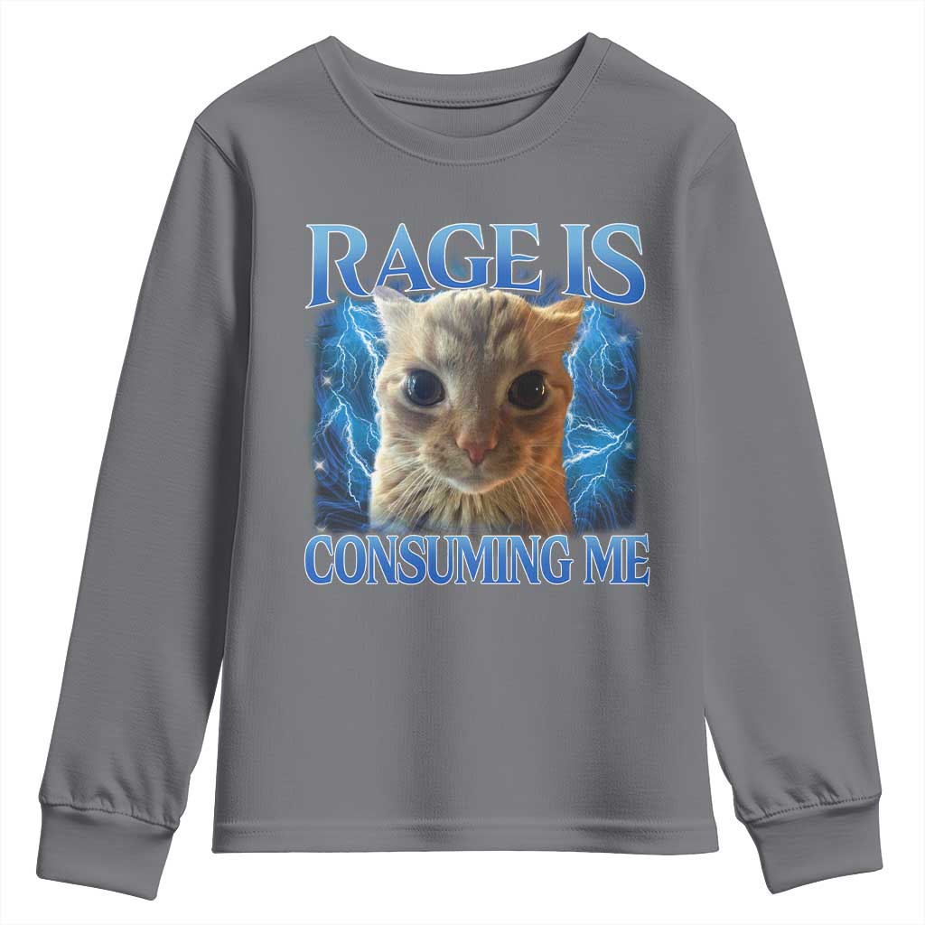 Rage Is Consuming Me Cat Meme Youth Sweatshirt Funny Weird Humor Cat Face Bootleg - Wonder Print Shop