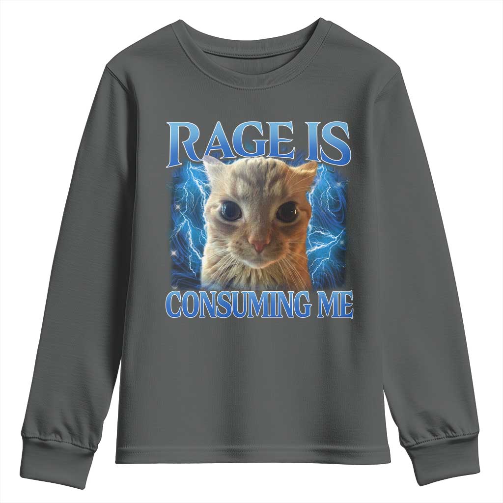 Rage Is Consuming Me Cat Meme Youth Sweatshirt Funny Weird Humor Cat Face Bootleg - Wonder Print Shop