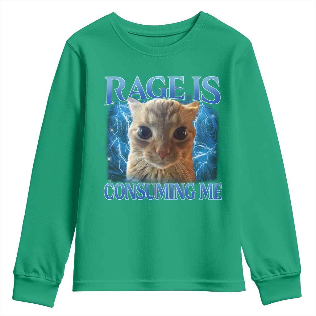 Rage Is Consuming Me Cat Meme Youth Sweatshirt Funny Weird Humor Cat Face Bootleg - Wonder Print Shop