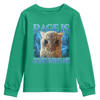 Rage Is Consuming Me Cat Meme Youth Sweatshirt Funny Weird Humor Cat Face Bootleg - Wonder Print Shop