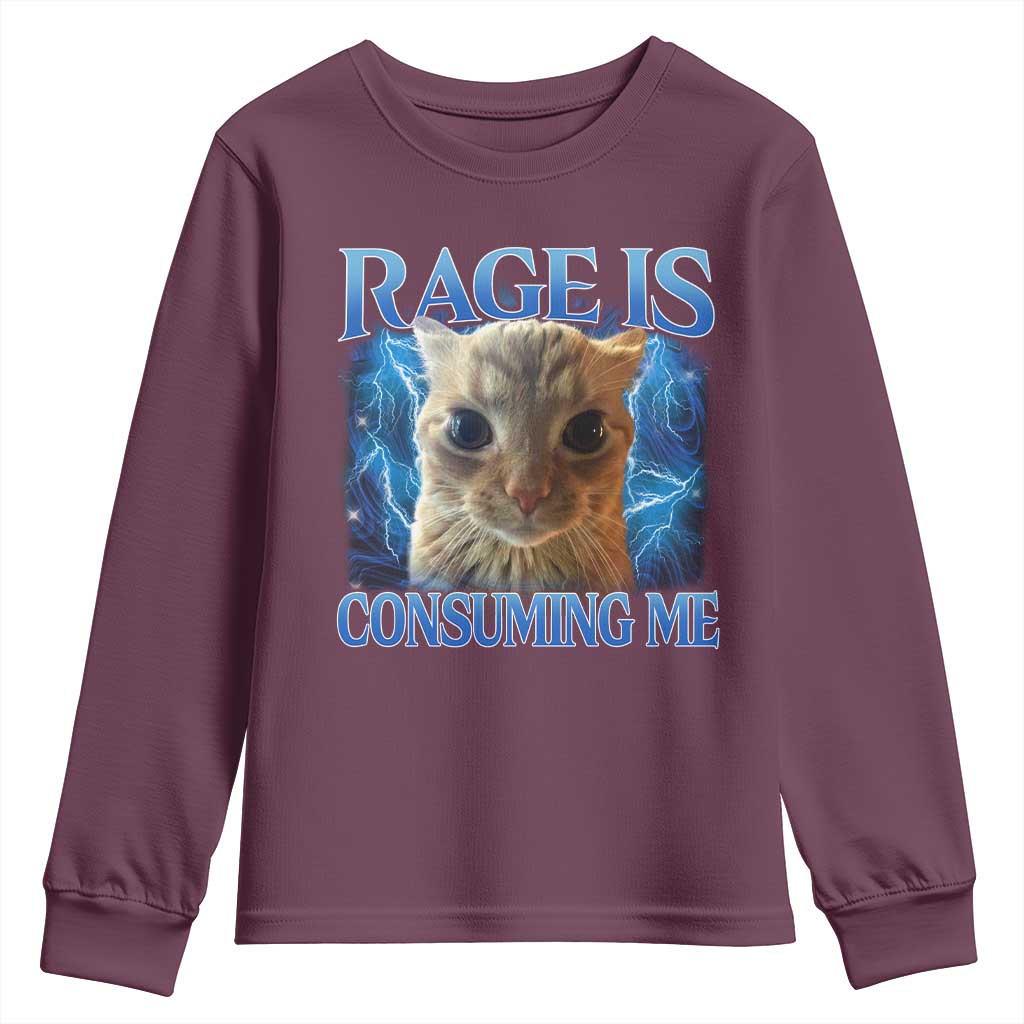 Rage Is Consuming Me Cat Meme Youth Sweatshirt Funny Weird Humor Cat Face Bootleg - Wonder Print Shop