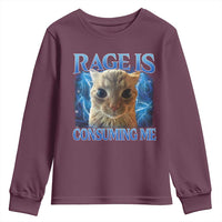 Rage Is Consuming Me Cat Meme Youth Sweatshirt Funny Weird Humor Cat Face Bootleg - Wonder Print Shop