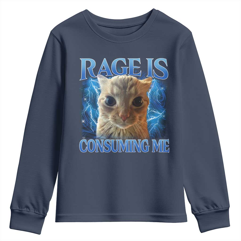 Rage Is Consuming Me Cat Meme Youth Sweatshirt Funny Weird Humor Cat Face Bootleg - Wonder Print Shop