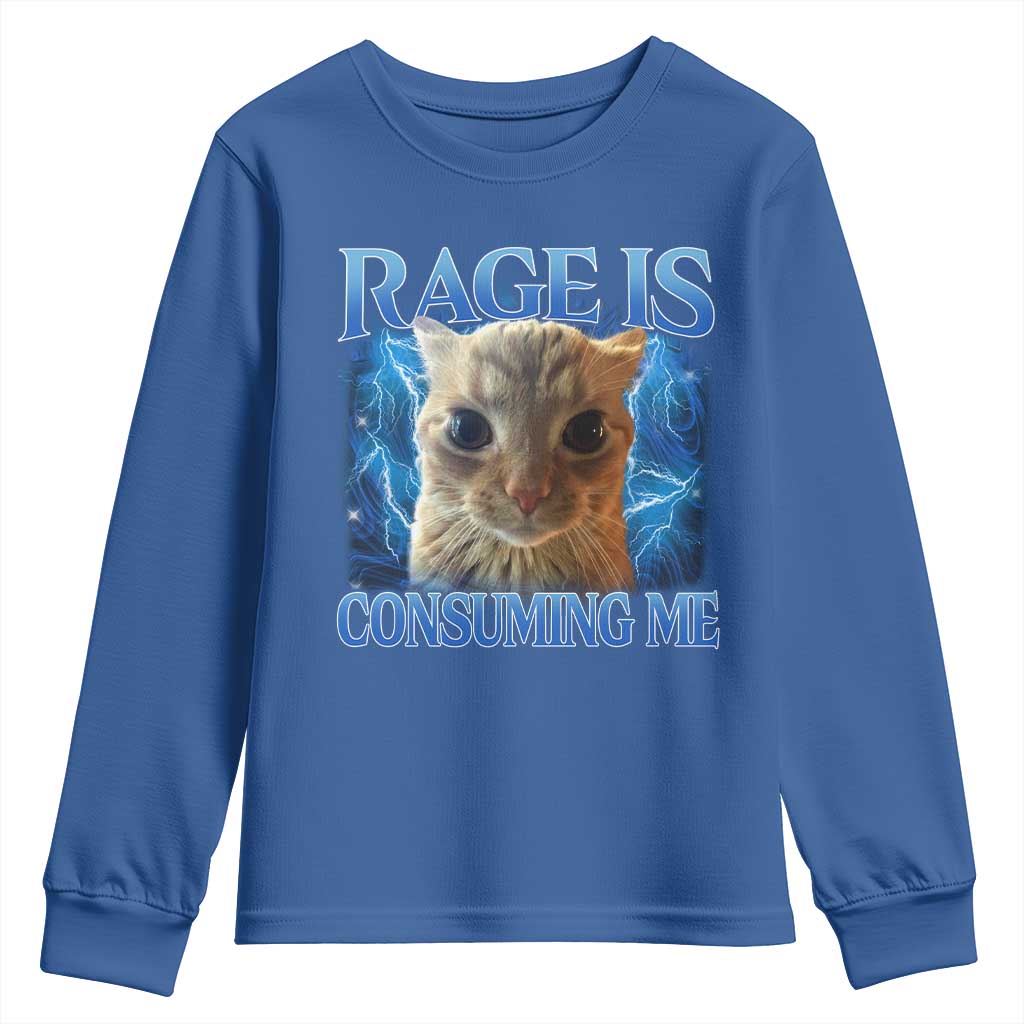 Rage Is Consuming Me Cat Meme Youth Sweatshirt Funny Weird Humor Cat Face Bootleg - Wonder Print Shop
