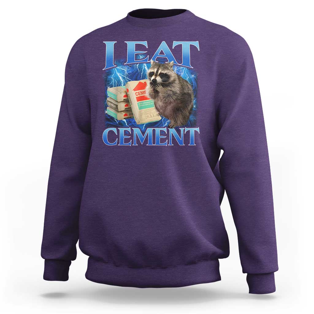 I Eat Cement Sweatshirt Cursed Raccoon Funny Oddly Dank Meme Gen Z - Wonder Print Shop