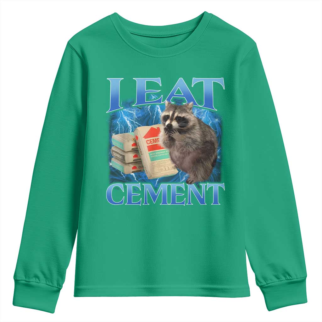 I Eat Cement Youth Sweatshirt Cursed Raccoon Funny Oddly Dank Meme Gen Z - Wonder Print Shop