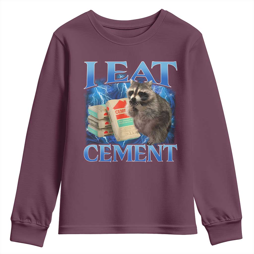 I Eat Cement Youth Sweatshirt Cursed Raccoon Funny Oddly Dank Meme Gen Z - Wonder Print Shop