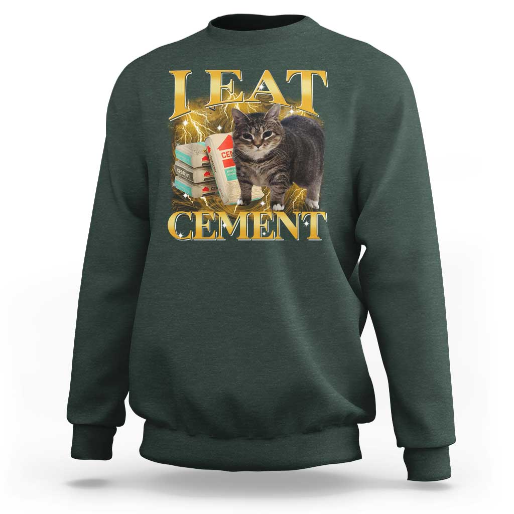 I Eat Cement Cat Meme Sweatshirt Funny Internet Memes Bootleg Cursed Cat Lovers - Wonder Print Shop