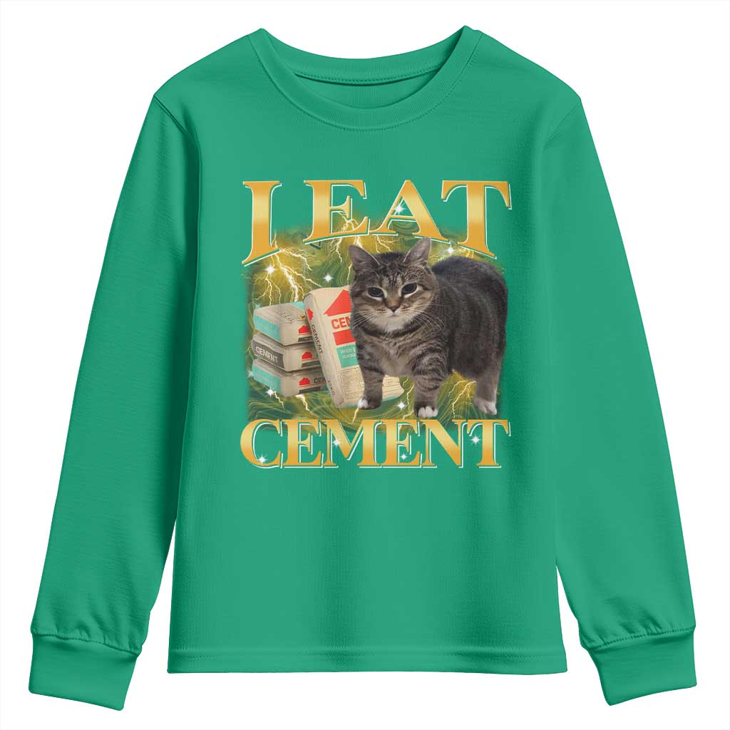 I Eat Cement Cat Meme Youth Sweatshirt Funny Internet Memes Bootleg Cursed Cat Lovers - Wonder Print Shop