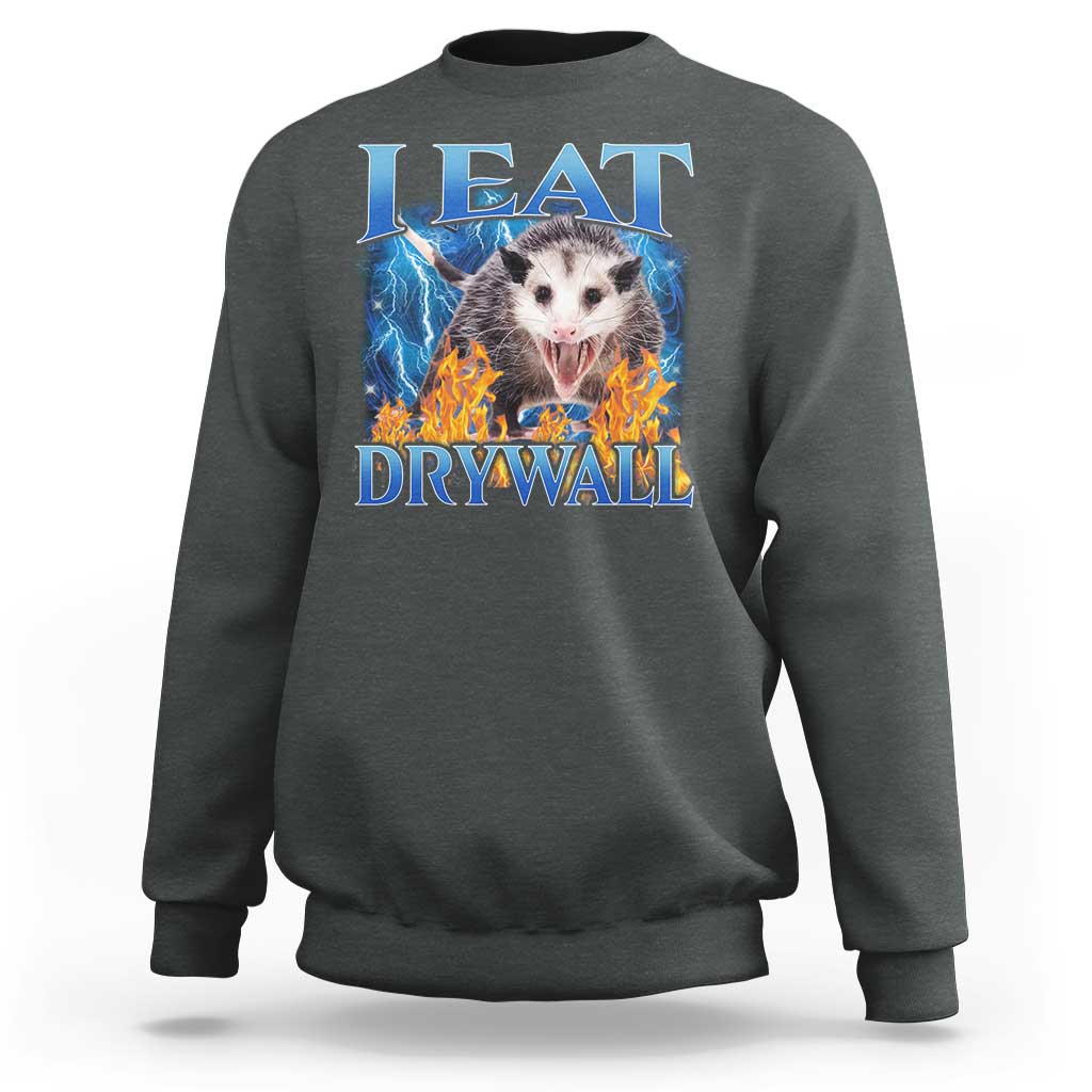 Possum Meme Sweatshirt I Eat Drywall Opossum Funny Weird Cursed Internet Memes - Wonder Print Shop