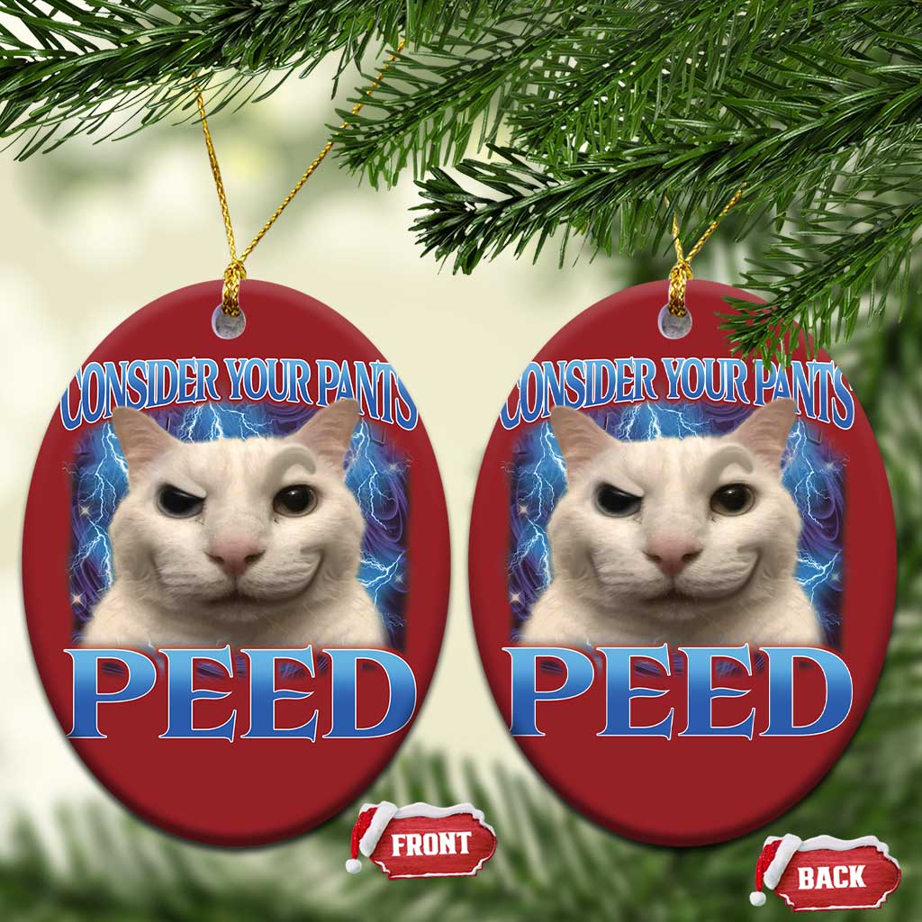 Meme Cat Christmas Ornament Funny Weird Humor Consider Your Pants Peed - Wonder Print Shop