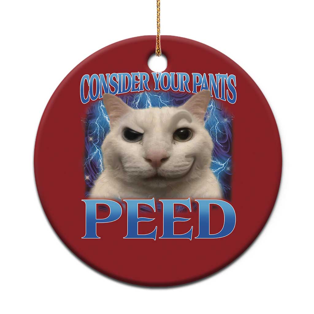 Meme Cat Christmas Ornament Funny Weird Humor Consider Your Pants Peed - Wonder Print Shop
