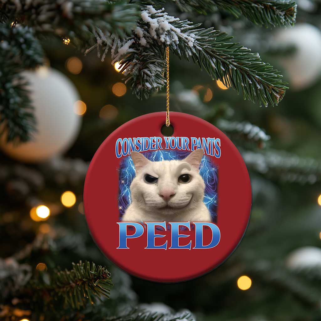 Meme Cat Christmas Ornament Funny Weird Humor Consider Your Pants Peed - Wonder Print Shop