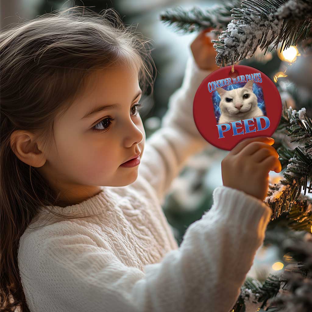 Meme Cat Christmas Ornament Funny Weird Humor Consider Your Pants Peed - Wonder Print Shop