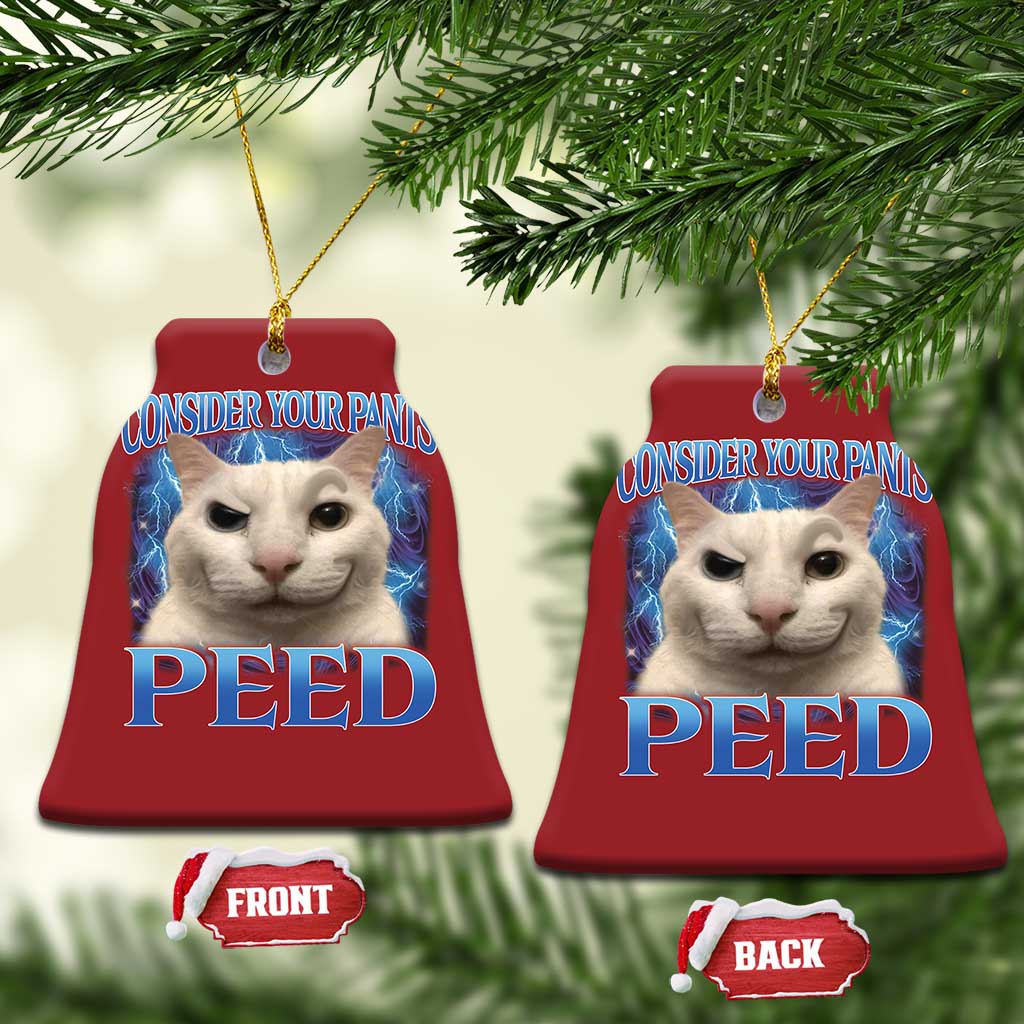 Meme Cat Christmas Ornament Funny Weird Humor Consider Your Pants Peed - Wonder Print Shop