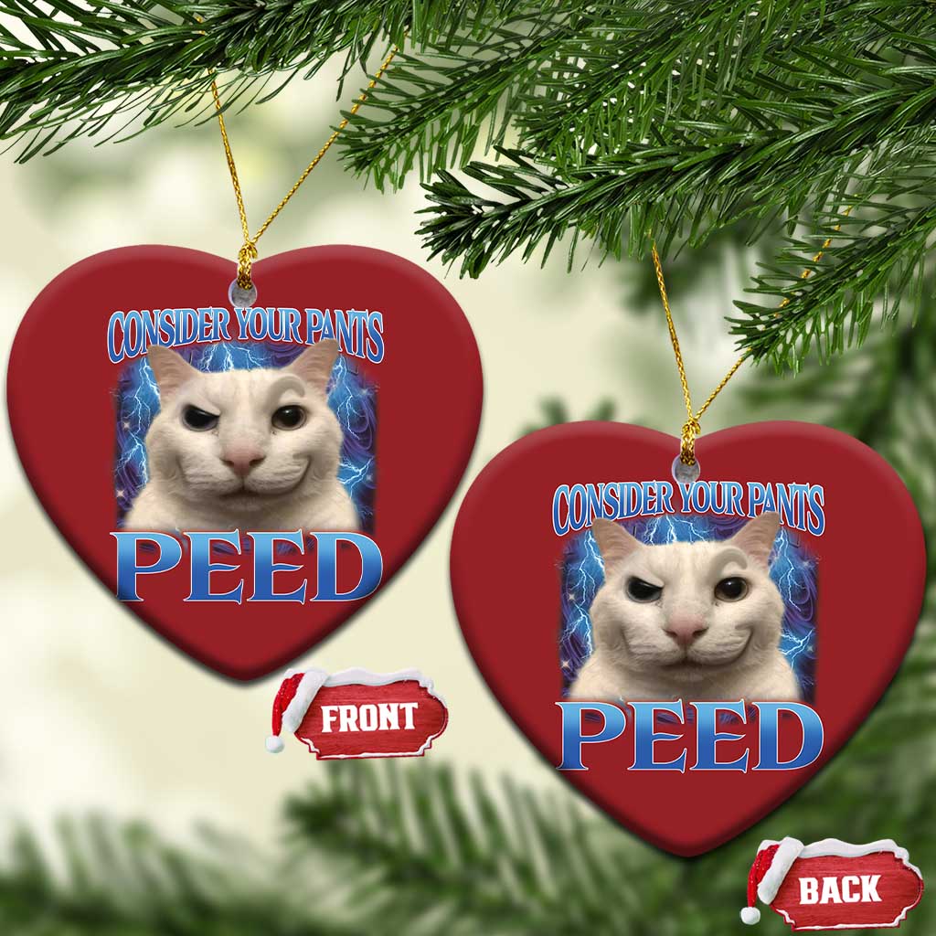 Meme Cat Christmas Ornament Funny Weird Humor Consider Your Pants Peed - Wonder Print Shop
