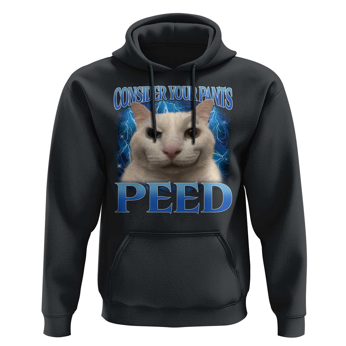 Meme Cat Hoodie Funny Weird Humor Consider Your Pants Peed - Wonder Print Shop